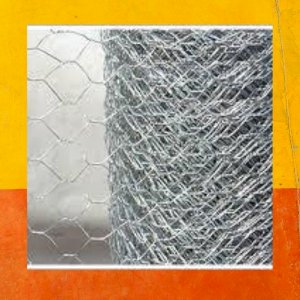 Barbed Wire + Welded Mesh